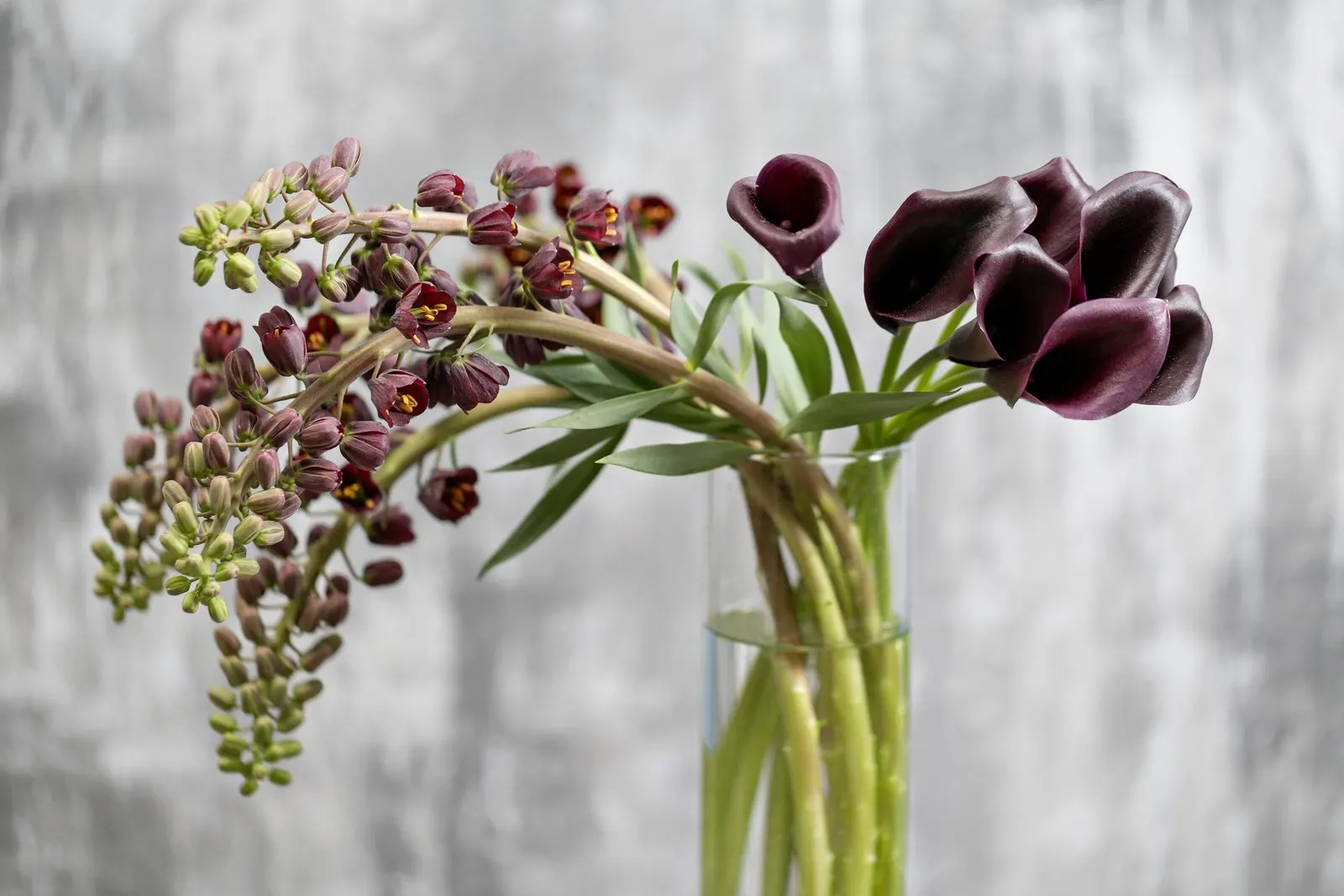 RoZus bloemen en planten bloemist in Warnsveld